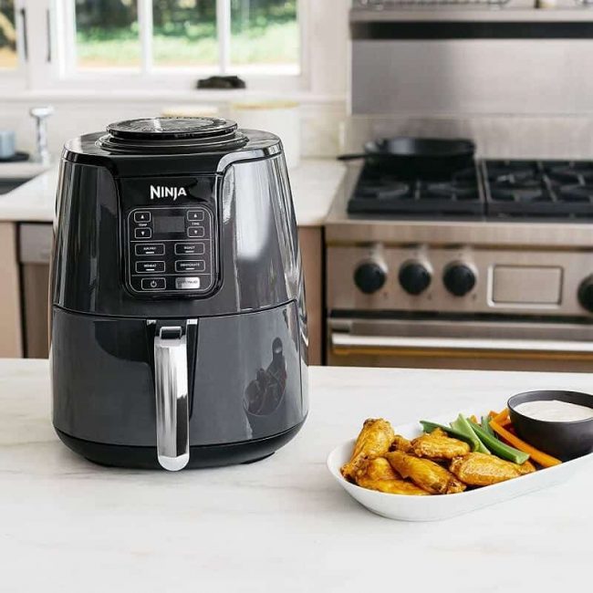 Ninja Air Fryer - An air fryer and food dehydrator in one!